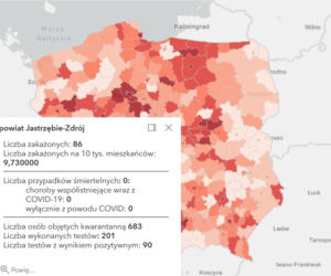 Koronawirus w województwie śląskim. Tak wygląda sytuacja w poszczególnych powiatach [RAPORT, 19 MARCA]