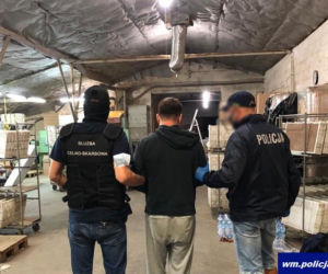 Zlikwidowali fabrykę i zatrzymali nielegalną produkcję papierosów na masową skalę