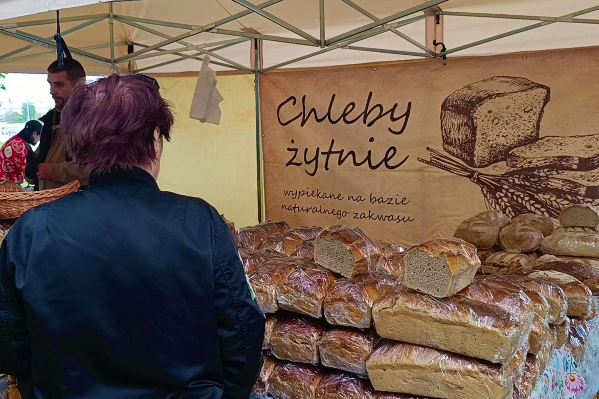 Piknik nad Odrą