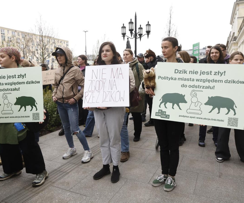 Warszawa. Protest w obronie dzików