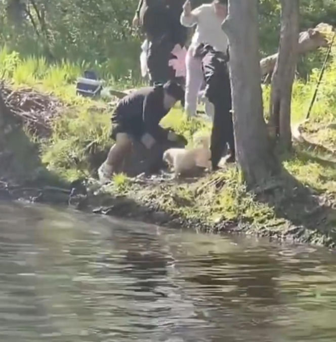 Bóbr zaatakował dziecko! Szokujące wideo w sieci