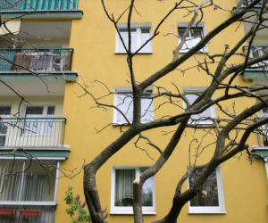 Złagodzili mordercy wyrok, bo próbował się zabić