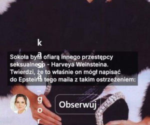 Epstein, Weinstein i polska modelka. Szokujące powiązania w ujawnionych aktach