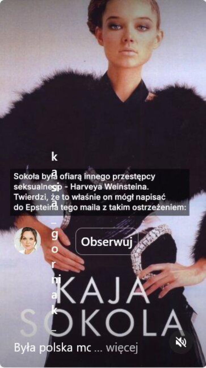 Epstein, Weinstein i polska modelka. Szokujące powiązania w ujawnionych aktach