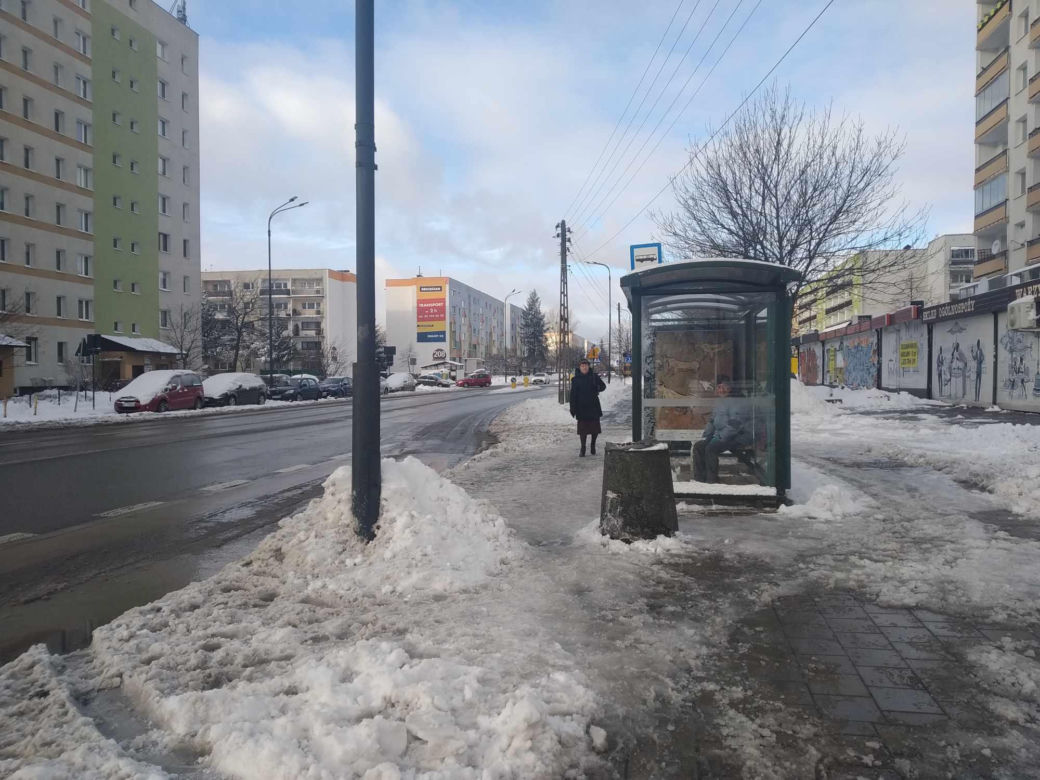 Łodzianie walczą z zimą. „Przystanki wyglądają tragicznie”