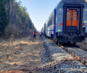 Pociąg Żubr śmiertelnie potrącił żubry. Poważny wypadek na Podlasiu