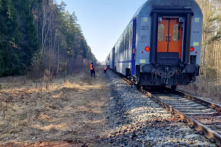 Pociąg Żubr śmiertelnie potrącił żubry. Poważny wypadek na Podlasiu