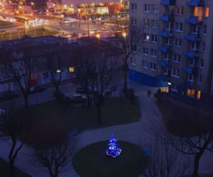 Katowice: Spółdzielnia wycięła im jedyną choinkę na osiedlu. Sami kupili nową jodłę