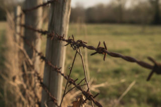 Zakazane od lat, wciąż straszą na ogrodzeniach. Posłanki alarmują: drut kolczasty zagraża ludziom i zwierzętom