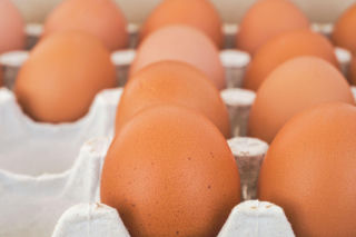 Salmonella wykryta na jajach. GIS wydał pilne ostrzeżenie