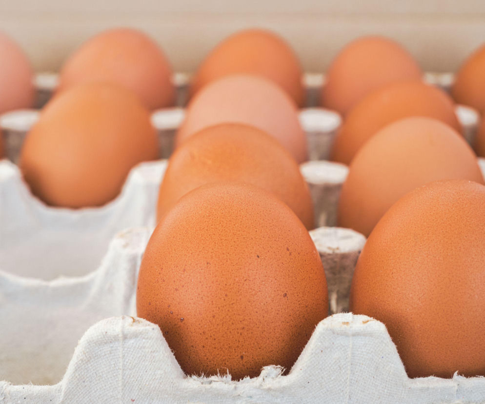 Salmonella wykryta na jajach. GIS wydał pilne ostrzeżenie