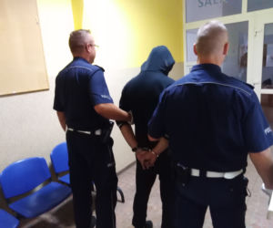 Ogromna plantacja marihuany w regionie! Policjanci zabezpieczyli ponad 430 krzewów [ZDJĘCIA]