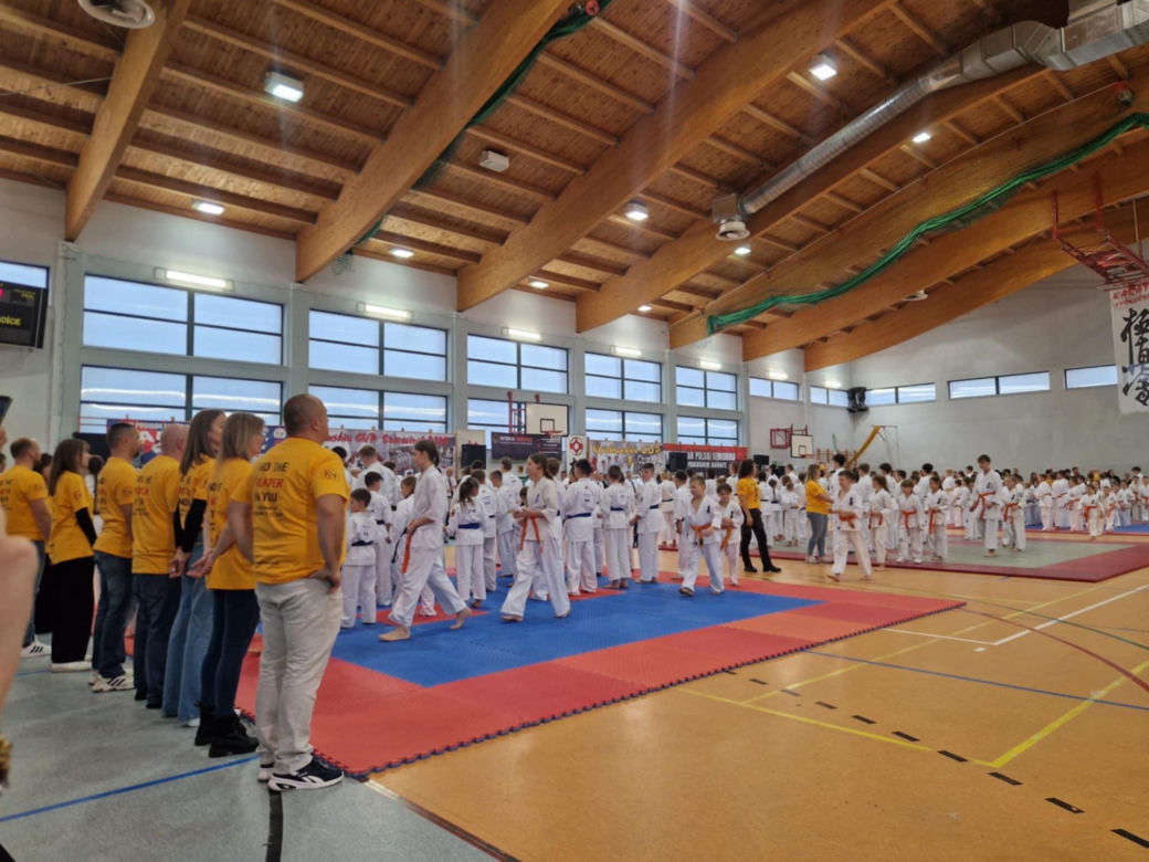 V Kyokushin Cup