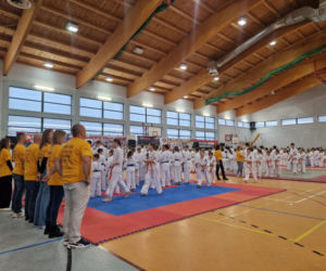 V Kyokushin Cup