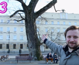 Baobab lepszy niż brzoza