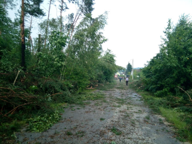 Burzowa dobra w Świętokrzyskiem