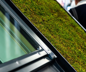 Systemowe zielone dachy - maty wegetacyjne z roślin rozchodnikowych, ziół i mchów