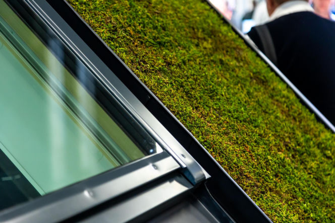 Systemowe zielone dachy - maty wegetacyjne z roślin rozchodnikowych, ziół i mchów