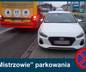 Mistrzowie parkowania. Tak kierowcy parkują w Warszawie