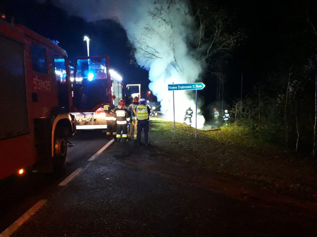 Aleksandrów. Uratował zwierzę, ale sam mógł zginąć! Spowodował pożar! [ZDJĘCIA]