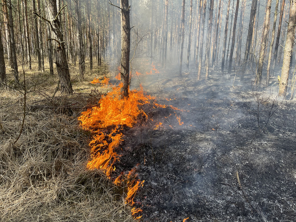  Wielki pożar pod Warszawą. Brakuje sił i środków