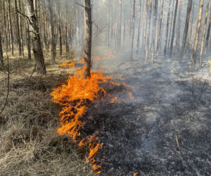  Wielki pożar pod Warszawą. Brakuje sił i środków