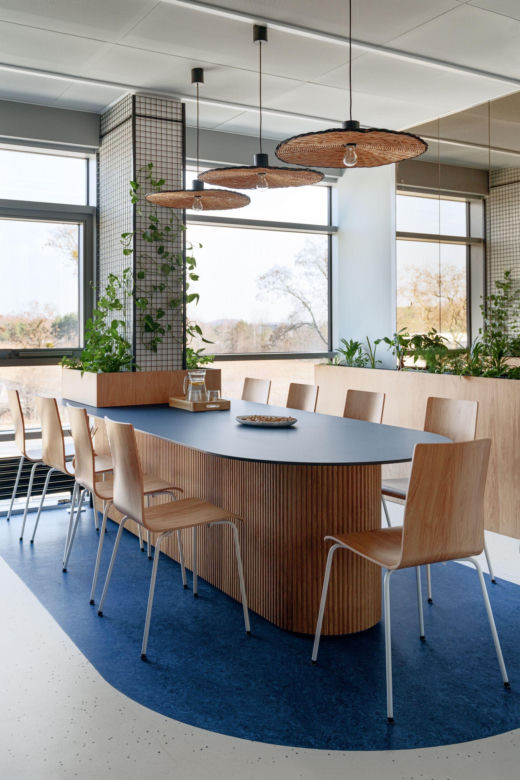 Harmonia w miejscu pracy. Nowy projekt biura autorstwa SAAN Architekci