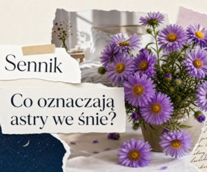 Sennik: astry we śnie. Co oznacza sen o astrach?