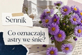 Sennik: astry we śnie. Co oznacza sen o astrach?