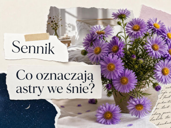 Sennik: astry we śnie. Co oznacza sen o astrach?