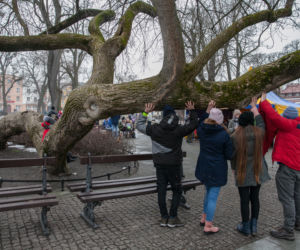 Polskie klony na europejskie salony