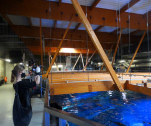 Wrocławskie Afrykarium od kuchni