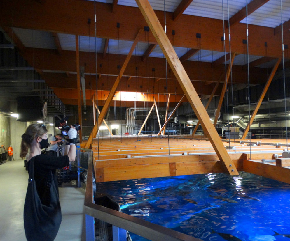 Wrocławskie Afrykarium od kuchni