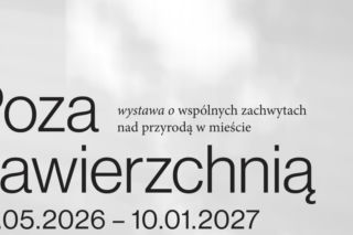 Poza nawierzchnią. Zobacz wystawę o wspólnych zachwytach nad przyrodą w mieście