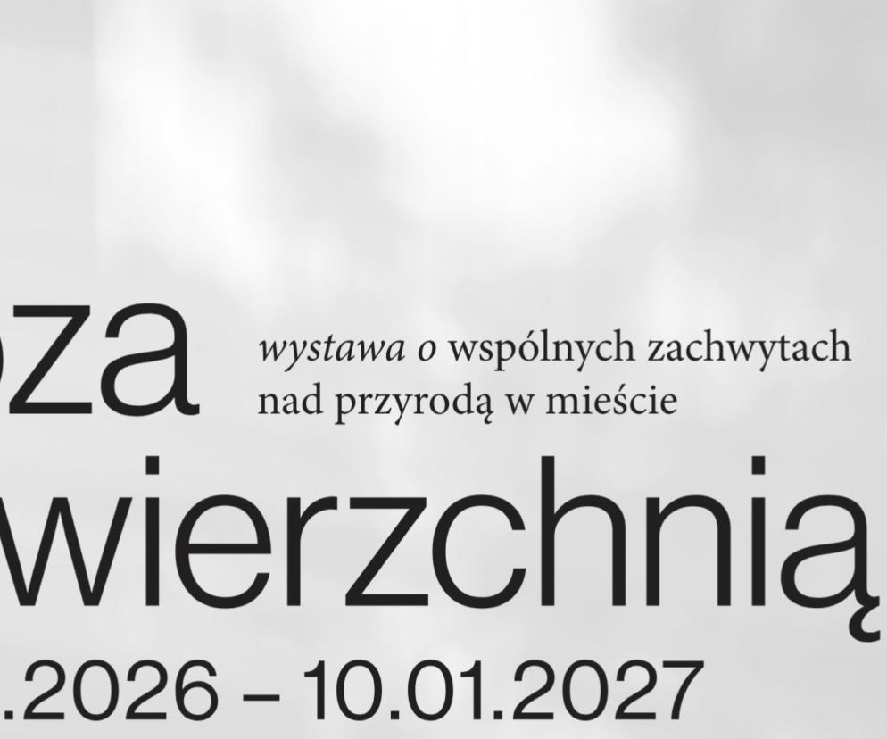 Poza nawierzchnią