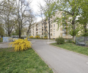 Wyjechała do pracy, została zamordowana w Warszawie. Zaginięcie i fałszywe wiadomości: „Ktoś pisał to za nią”