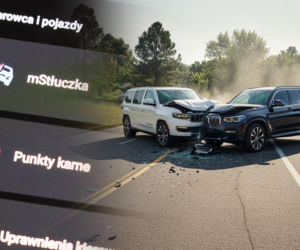 To już rok. Polacy masowo korzystają z tej funkcji