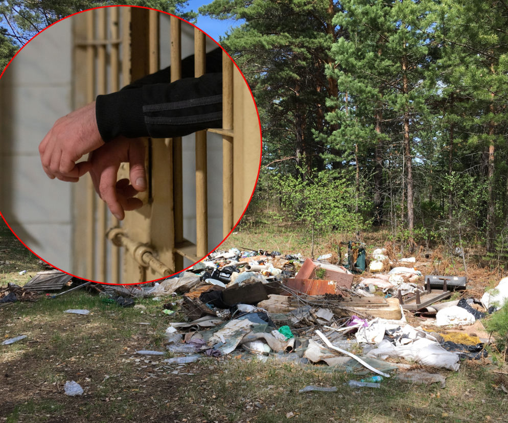 Więźniowie posprzątają lasy. Areszt na Białołęce podpisał umowę z nadleśnictwem