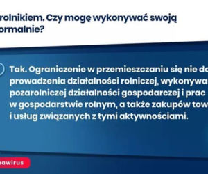 Zakaz wychodzenia z domu. Co mogę? Co jest zabronione? [ZASADY]