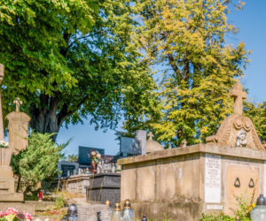 To jedno z najpiękniejszych miast w woj. małopolskim. Mikołaj Rej ukończył w nim swoje słynne dzieło