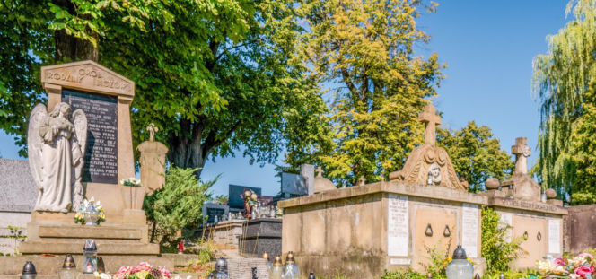 To jedno z najpiękniejszych miast w woj. małopolskim. Mikołaj Rej ukończył w nim swoje słynne dzieło