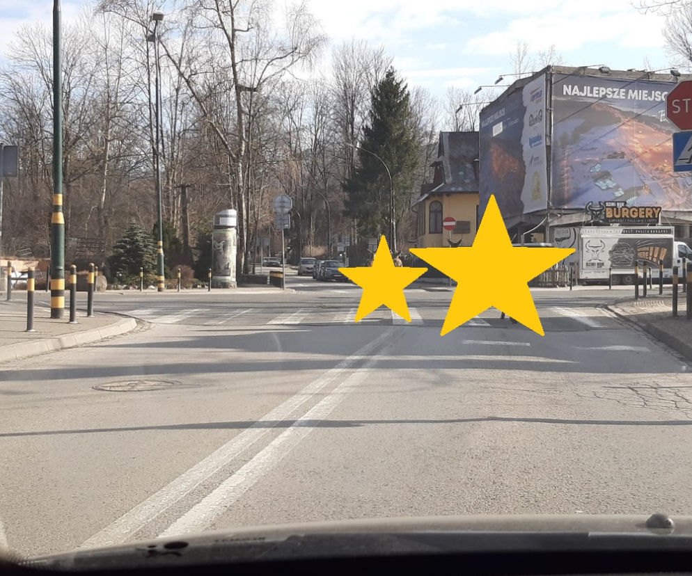 Łanie w Zakopanem