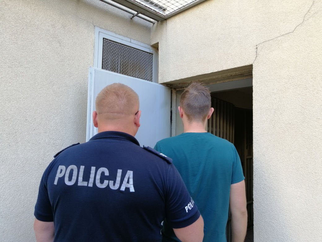 Zlikwidowano plantacje marihuany liczące kilkaset krzaków
