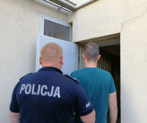 Zlikwidowano plantacje marihuany liczące kilkaset krzaków