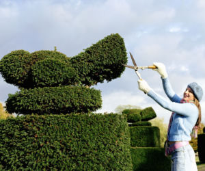 Topiary