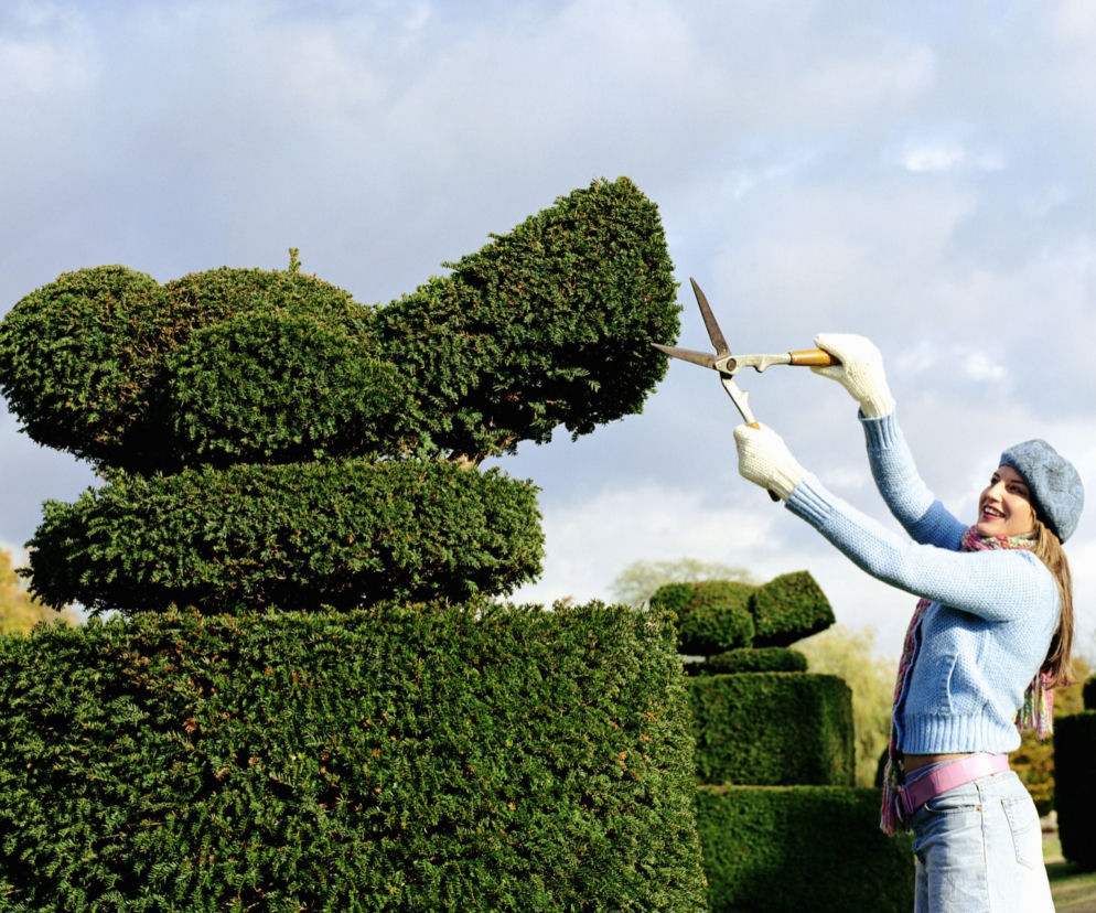 Topiary