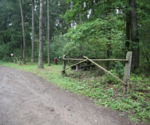 Zastrzelony przez myśliwego