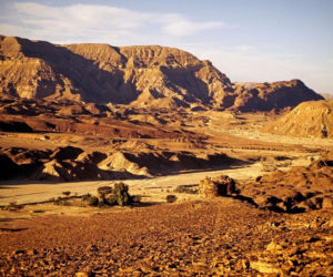 Wskazano kraje, w których Polacy uwielbiają spędzać ferie. Wniosek? Uciekamy od siarczystych mrozów