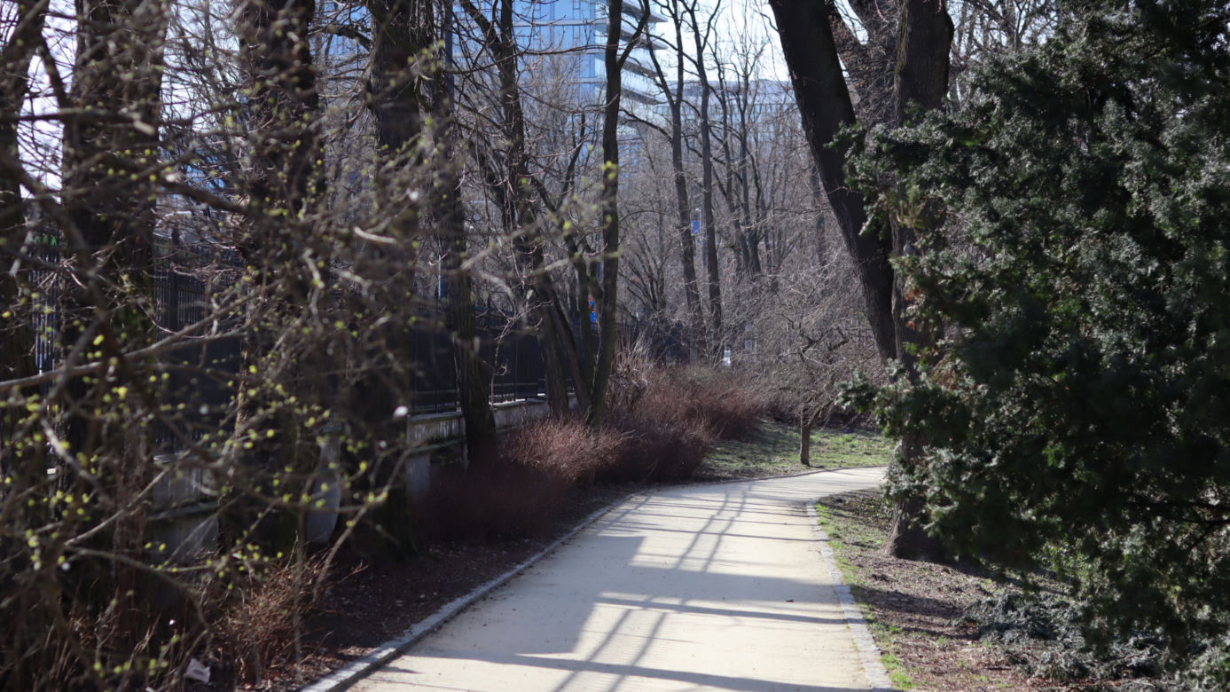 Szukaliśmy oznak wiosny w Ludowymi i Saskim. Lublinianie chętnie korzystają ze słońca!