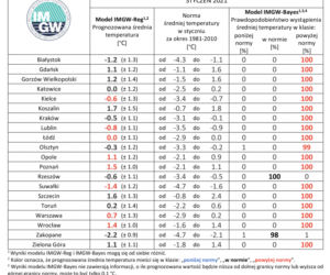 Jaka będzie zima 2020/2021? Czy spadnie śnieg? Prognozy są miażdżące. WAŻNY komunikat [PROGNOZA POGODY, MAPY, MIASTA, WOJEWÓDZTWA]